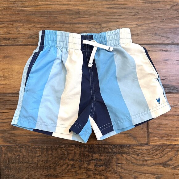 Blue Rooster Blue Stripe Swim Trunks - Picture 1 of 3